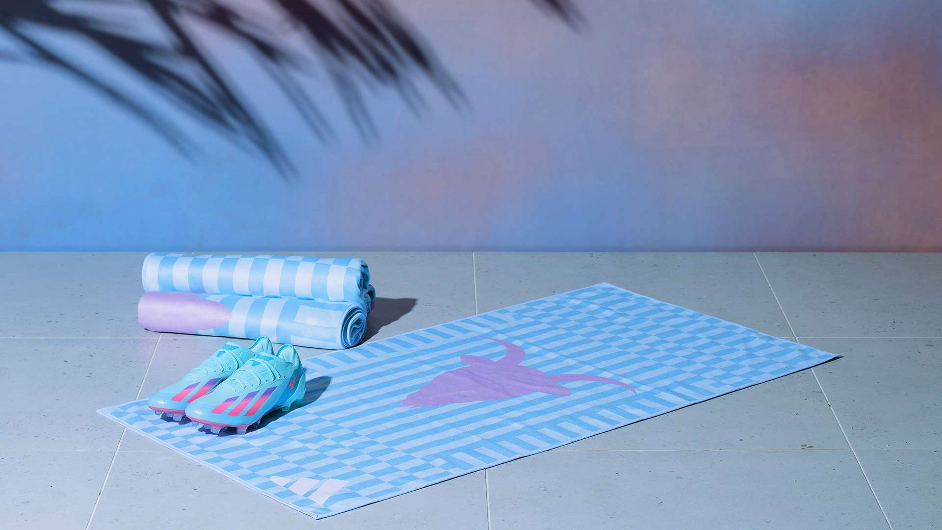 数据显示 数据显示