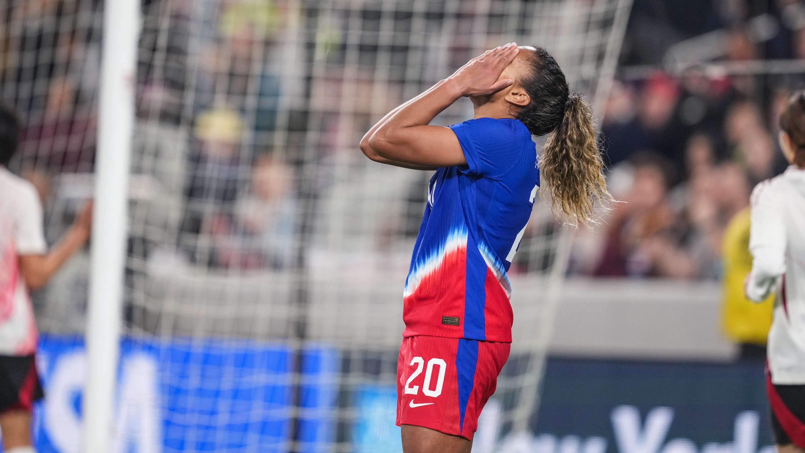 在这篇文章 在这篇文章