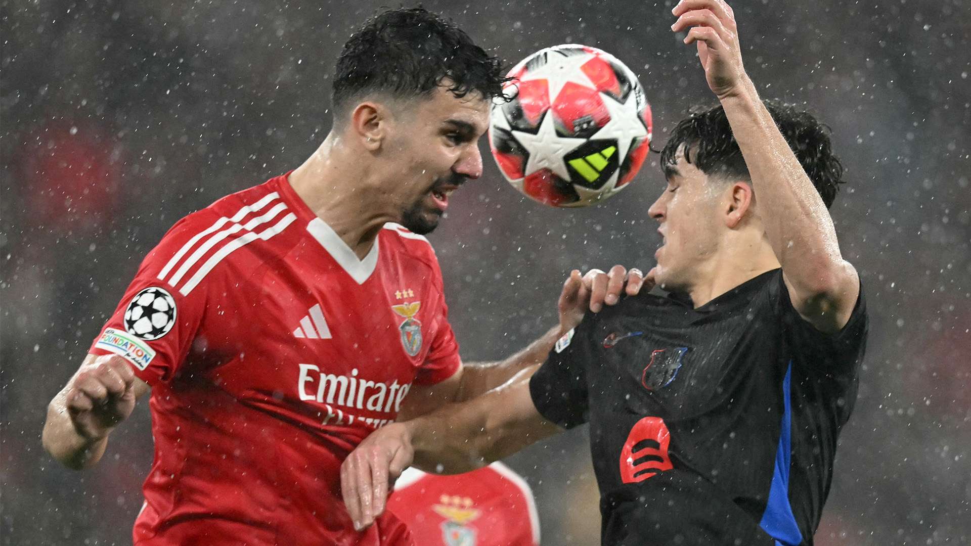 年由托德 年由托德